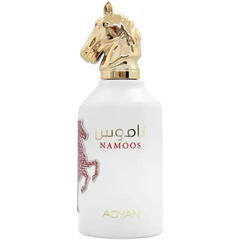 Adyan Namoos EDP 100 ML – afbeelding 3