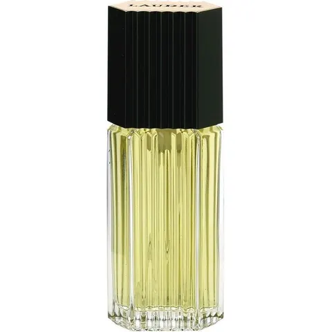 Estee Lauder - Lauder For Men - Eau De Cologne - 100Ml – afbeelding 4