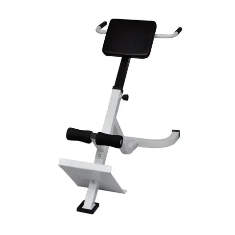 vidaXL Banc de musculation du dos – image 2
