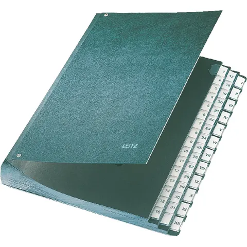 Leitz - Bureaumap - Karton - 31 Scheidingsbladen – afbeelding 2