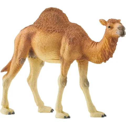 Schleich dromedaris - 14832 – afbeelding 3
