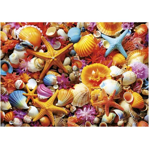Educa - legpuzzel - Collage de Conchas 1000 Stukjes – afbeelding 2