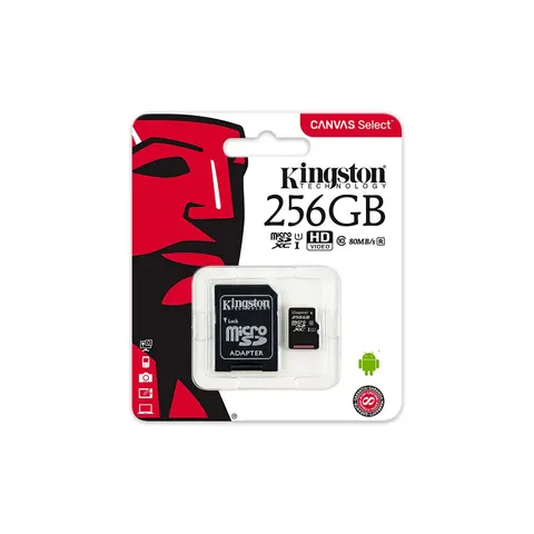 Kingston Micro SD Memory Card - 256GB – image 2
