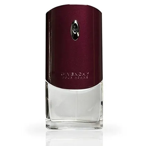 Givenchy Pour Homme 100ml EDT Spray – image 4