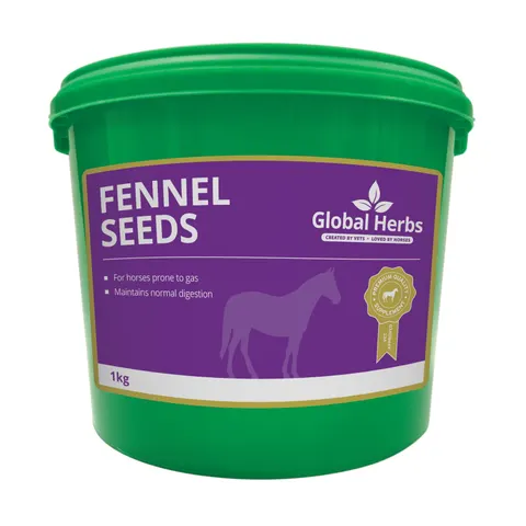 Fennel Seeds - Global Herbs - 1kg – image 2