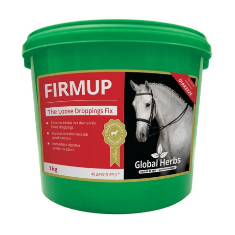 Global H Firmup – image 2