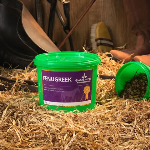 Global H Fenugreek – image 2