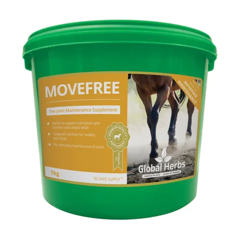 Global H Movefree – image 3