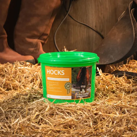 Global H Hocks – image 3