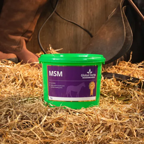 MSM 1kg - Global Herbs – image 2