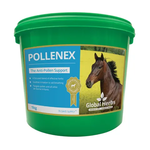 Global H Pollene X – image 2