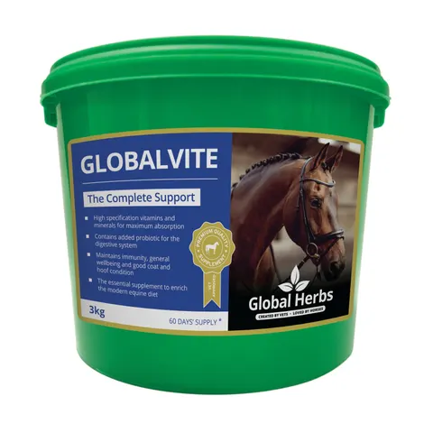 Global H Global Vite – image 3