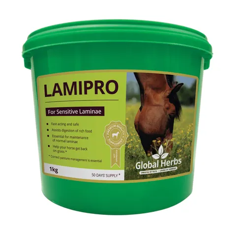 LamiPro - Global Herbs - 1kg – image 2