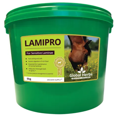 LamiPro - Global Herbs - 5kg – image 2