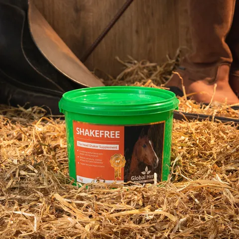 Global H Shake Free – image 3