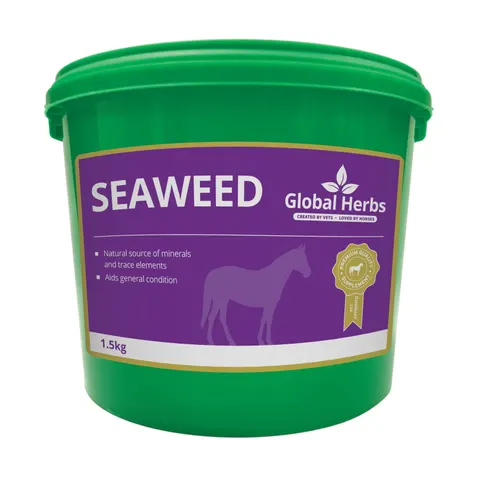 Seaweed - Global Herbs - 1.5kg – image 2