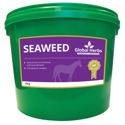 Seaweed - Global Herbs - 6kg – image 2