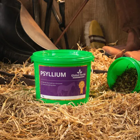 Psyllium 1kg - Global Herbs – image 2