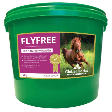 Global H Flyfree – image 3