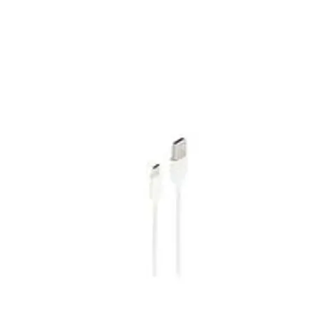 shiverpeaks BASIC-S Daten- & Ladekabel, USB-A - USB-C, 1,0 m – Bild 2