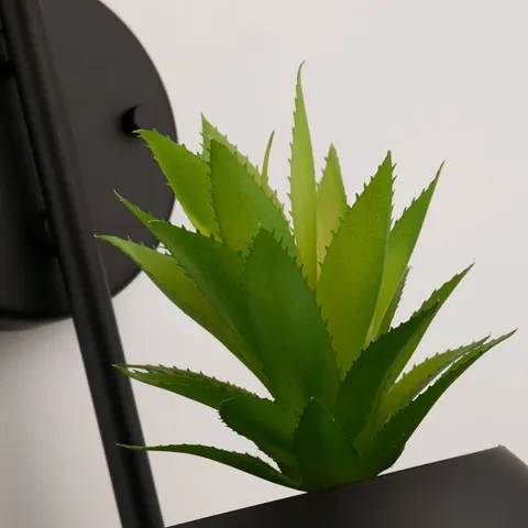 Black ORB Wall Light With Plant – image 2