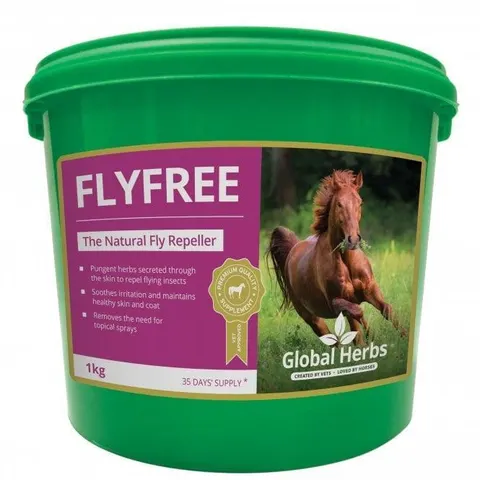Global H Flyfree – image 2