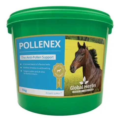 Global H Pollene X – image 3
