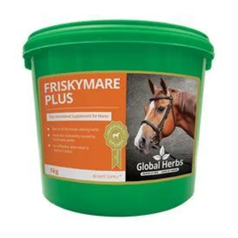 Global H Frisky Mare Plus – image 2