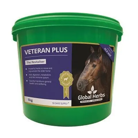 Global H Veteran Plus – image 3