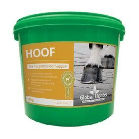 Global H Hoof – image 3