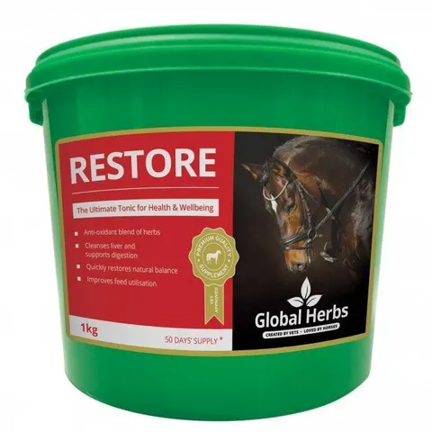 Global H Restore – image 3