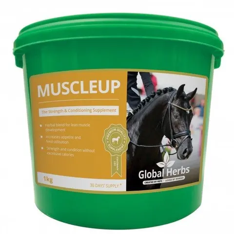 Global H Muscle Up – image 2