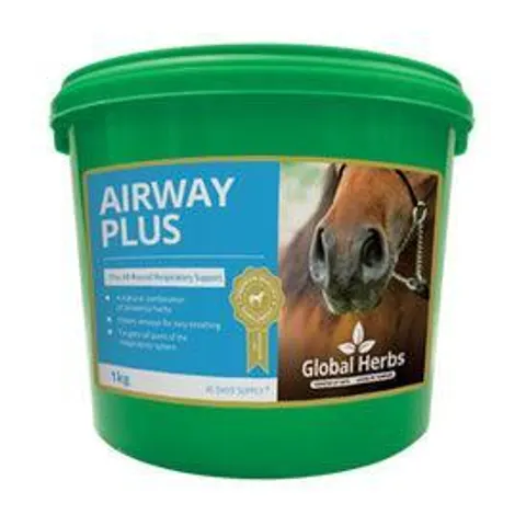 Global H Airway Plus – image 2