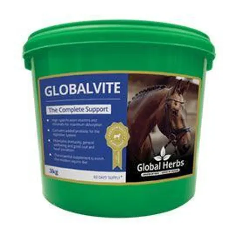 Global H Global Vite – image 2