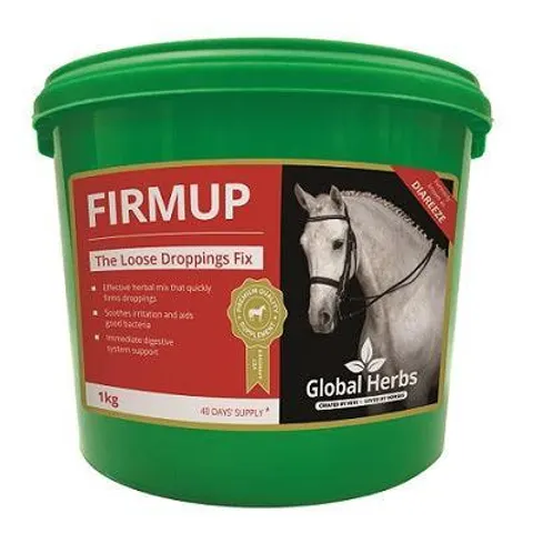 Global H Firmup – image 3