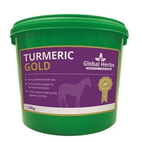 Global H Turmeric Gold – image 2