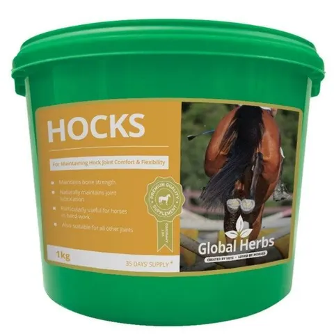 Global H Hocks – image 2