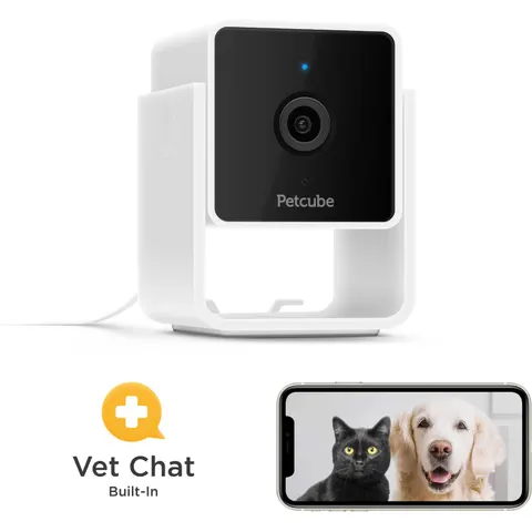 Petcube PET CAM – Bild 2