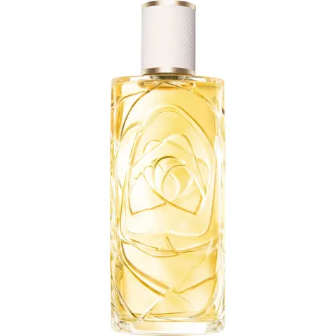 Ô Zénith 100 ml – image 3