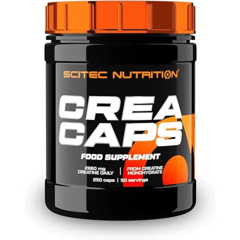 Creatine Caps (250 Kapseln) – Bild 2