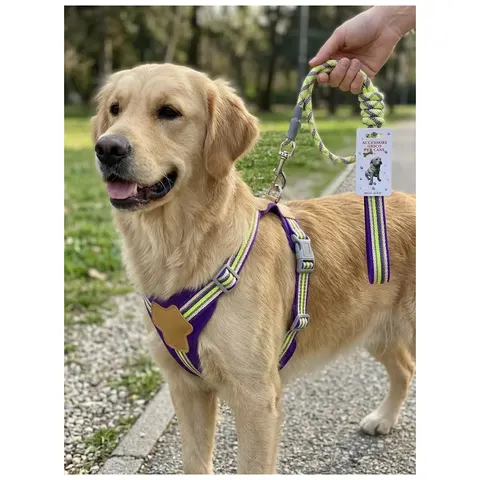 Dog Leash Length, Width, Thickness, 193G – image 2