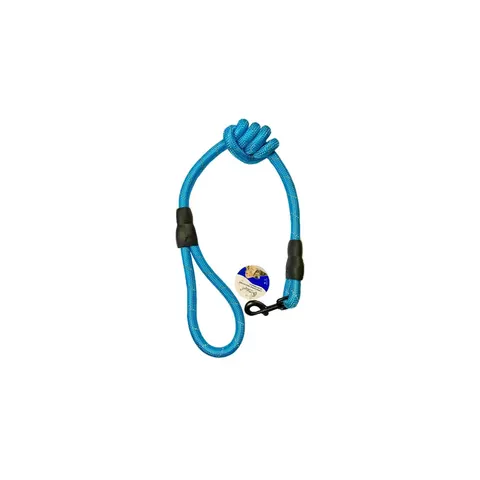 Thick Pet Dog Walking Lead Leash Assorted Colours – image 2