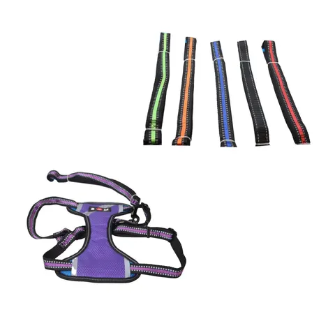 Pet Dog Leads And Harness Assorted Colours – image 2