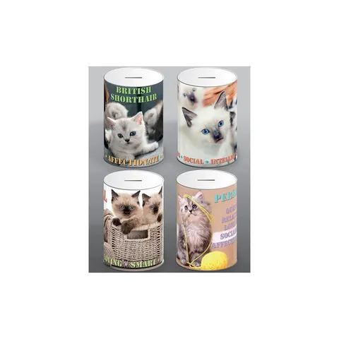 Cat Money Tin Assorted Designs – image 2