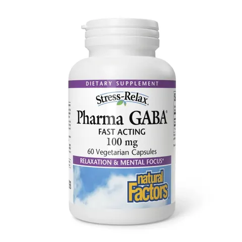Natural Factors GABA – Sleep Support, Calm & Focus | 60 Chewable Tablets – image 2