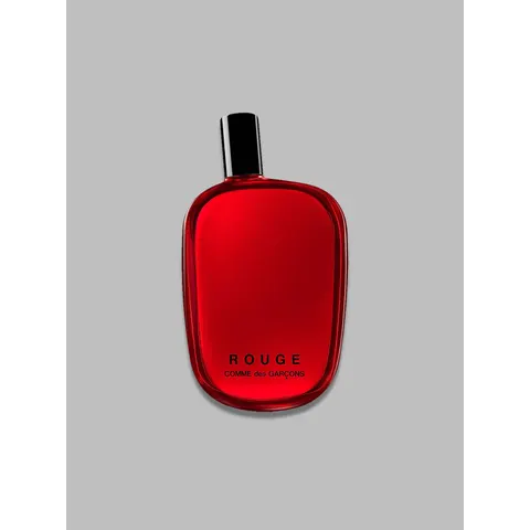 rouge edp 100ml – immagine 2