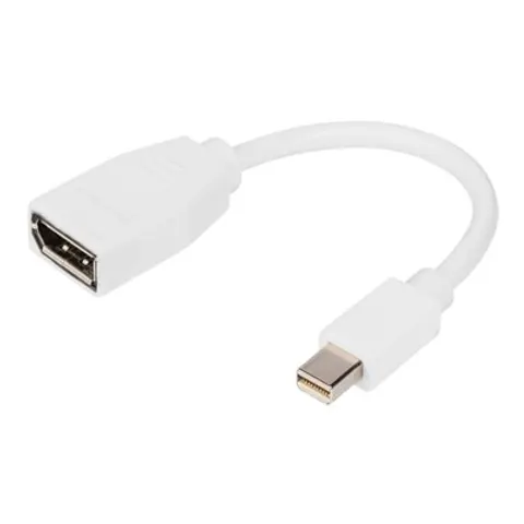DIGITUS DisplayPort Adapterkabel, mini DP - DP – Bild 2