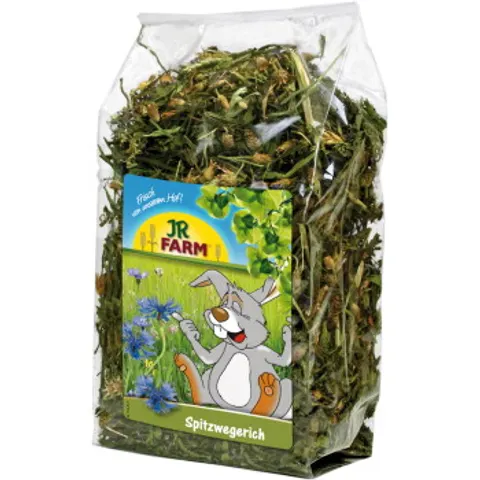 JR Farm Spitzwegerich 500 g – Bild 2