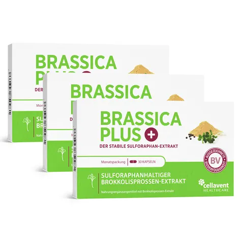 Brassica Plus Kapseln 90 St – Bild 2