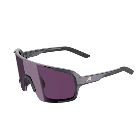 Lunettes de soleil Alpina Lumin – Gris – image 2